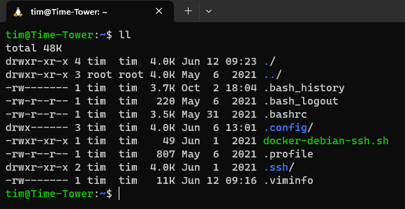 Fake Dynamic DNS cover image
